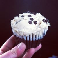vegan peanut butter chocolate cupcake! at House of Nutrition in Luzerne