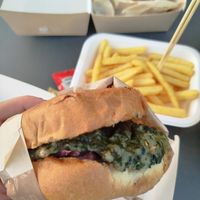  at Arno Vivo in Pisa