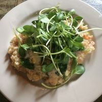 Vegan Risotto at Radial Cafe in Atlanta