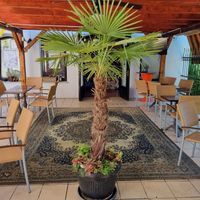 Where live is nice at Šiša Bar - Maybe closed in Brezice