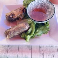 Vegan Nema  at Dim Sum in Frejus