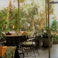 Restaurant and garden at Institut Francais Leopold Sedar Senghor in Dakar