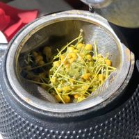 Fresh chamomile tea  at Eklektik in Thessaloniki