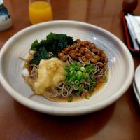 Vegan Bukkake Soba: Buckwheat noodles with Wakame algae, radish, ginger, mushrooms, green onion, Tempura (fried) flakes at NihonBashi in Vienna
