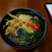 Vegan Tempura Udon: Wheat noodle soup with fried vegetables (Daikon radish, paprika and zucchini among others) and green onion at NihonBashi in Vienna