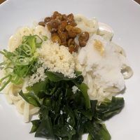 Bukkake Udon (sauce not on picture)  at NihonBashi in Vienna