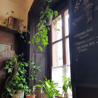  at Weinstube Eulenspiegel in Speyer