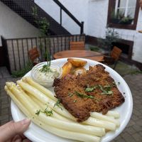 asparagus with Schnitzel   at Weinstube Eulenspiegel in Speyer
