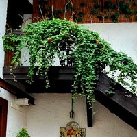 I at Weinstube Eulenspiegel in Speyer