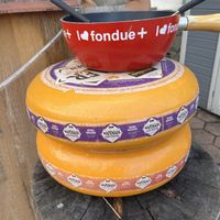   at Fondue Villa & Garden in Unterseen