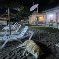   at Surf Cafe in Mugla