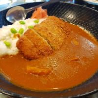 Katsu curry at Ren Dao Asian Vegetarian in Elsternwick