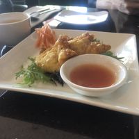 Entree - wontons, we already ate two. at Ren Dao Asian Vegetarian in Elsternwick