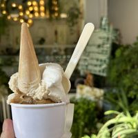 Peanuts and yogurt  at G'ala Gelateria in Lissone