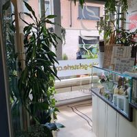 Inside at G'ala Gelateria in Lissone