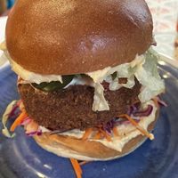 Falafel burger at Moorish Falafel Bar in Norwich