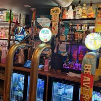 Serve hot drinks & fake bears too at Rabbit Food @ Meadows Tap in Edinburgh