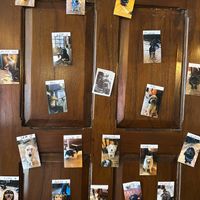 Doggos  at Rabbit Food @ Meadows Tap in Edinburgh