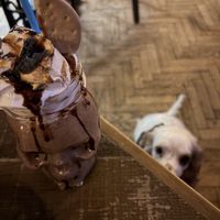 S’mores milkshake   at Rabbit Food @ Meadows Tap in Edinburgh