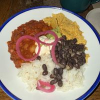  Chilli  at Hawkes House in Bristol