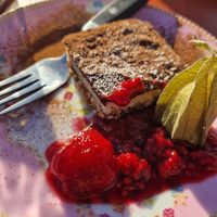  at Op ‘t eiland in Nederhorst Den Berg