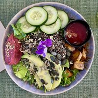 Vegan bowl  at Green Buddha in Vila Real De Santo Antonio