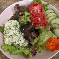Tofu egg salad at Salt and Pepper Social in Newcastle