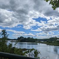 View from the porch at Salt and Pepper Social in Newcastle
