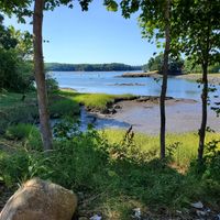 View from picnic table outside. Also have semi enclosed patio space with heaters at Salt and Pepper Social in Newcastle