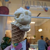 vegan ice cream at PALLINA Gelato in Frankfurt