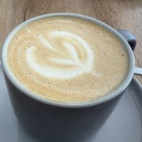   at Klaver in Hannover