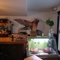  at El Colibrín in Leon