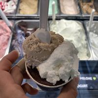 Hazelnut, lemon and dark chocolate 🌱  at Gelateria Dulcis in Fundo in Mandello Del Lario