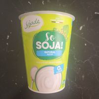Yogurt di soia senza zucchero at BIOBROTHERS in Sedico