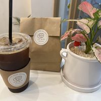   at Miso Bakery in Seoul