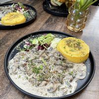 Vegan cream sauce mushroom and polenta dish  at Mimoza Wine & Dine in Sighisoara