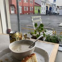   at Plantan Kaffihús in Reykjavik