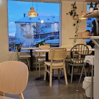  at Plantan Kaffihús in Reykjavik