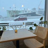  #Veganuary at Plantan Kaffihús in Reykjavik