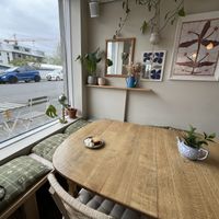   at Plantan Kaffihús in Reykjavik