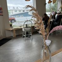   at Plantan Kaffihús in Reykjavik