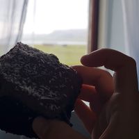  at Plantan Kaffihús in Reykjavik