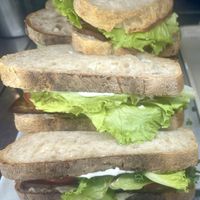   at Plantan Kaffihús in Reykjavik