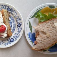 Cake with cheesecake topping and a BLT sandwich at Plantan Kaffihús in Reykjavik