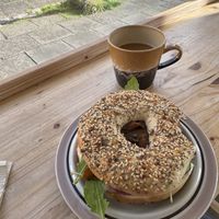 Bagel with vegan cream cheese, marinated carrots, cucumber, and pickled onion   at Plantan Kaffihús in Reykjavik