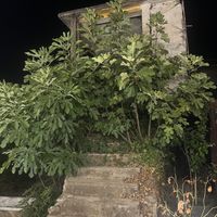  at Arti'Zanave in Shkoder