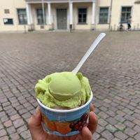   at Canalettini in Pirna