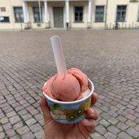   at Canalettini in Pirna