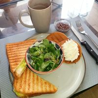  at Le Chat'Ren'Thé - CatCoffee & Restaurant in La Rochelle