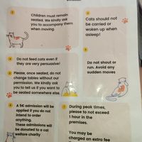  at Le Chat'Ren'Thé - CatCoffee & Restaurant in La Rochelle